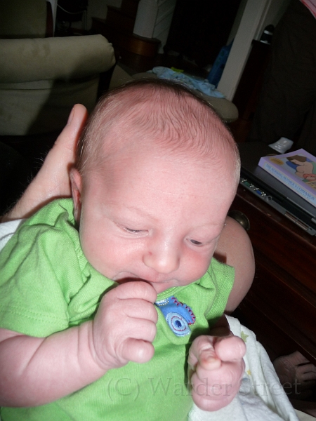 William's First Week 24.jpg